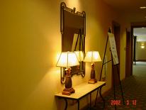 Light Fixture Cleaning