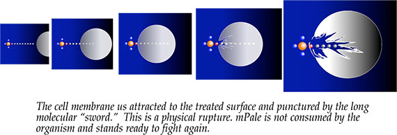 mPale Process