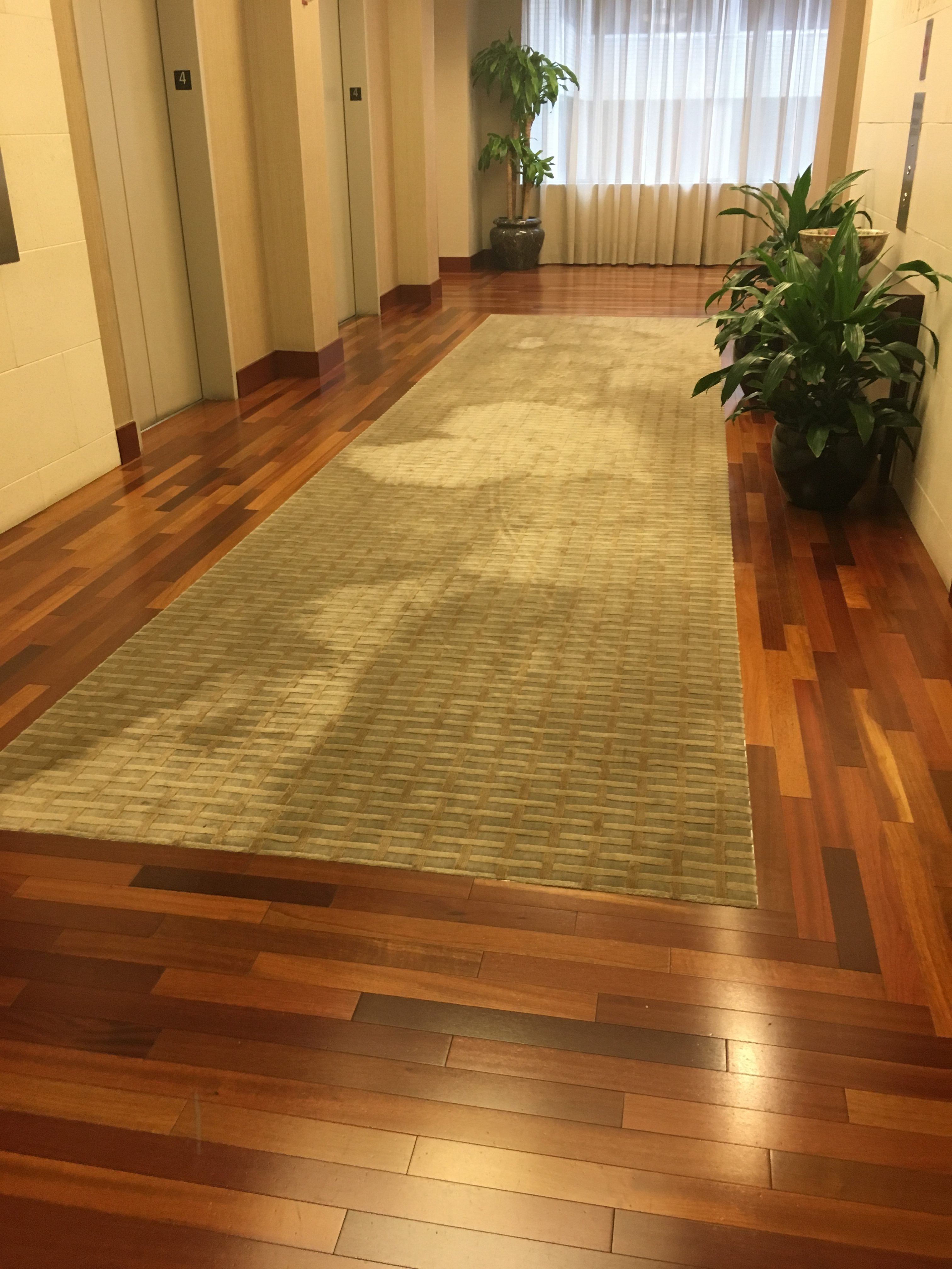 Worn Out Carpet