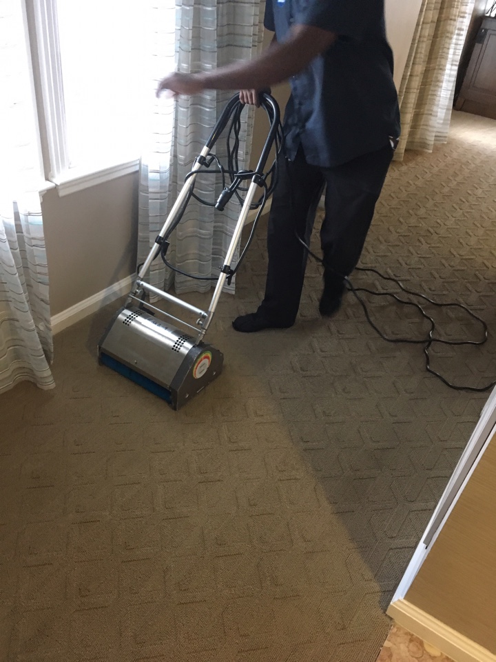 Carpet Care