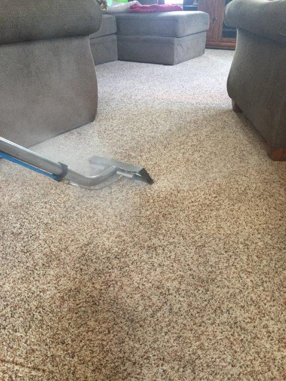 Carpet Care