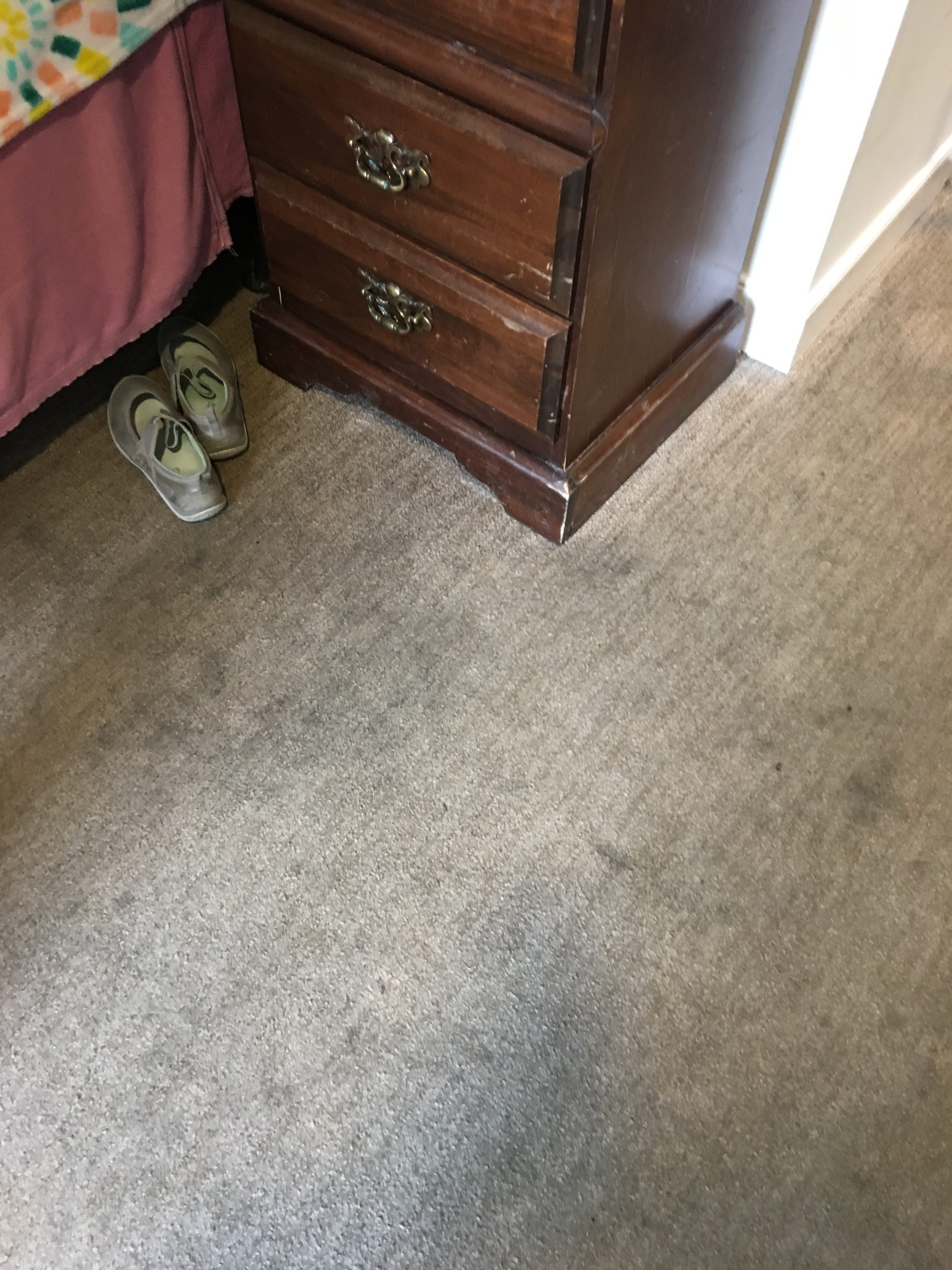 Senior Living Facility Carpet Care